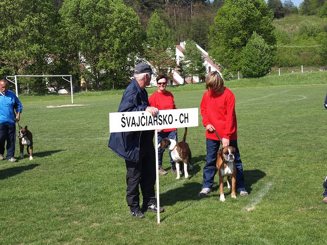 www.atibox.net * www.euroboxer.eu * www.boxergenealogia.eu